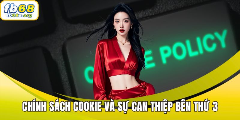 Chính sách cookie và sự can thiệp bên thứ 3